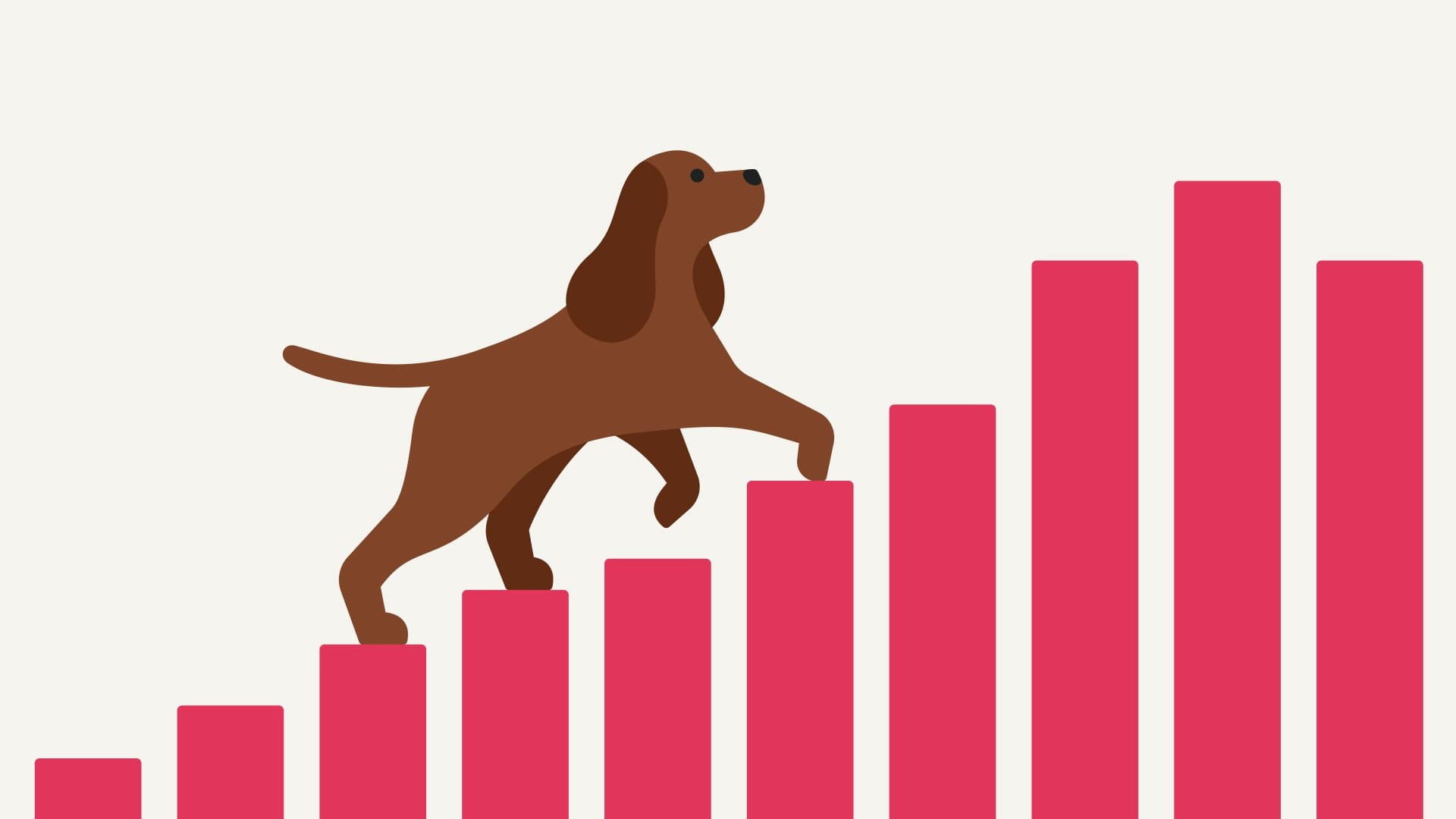 The Dog App
